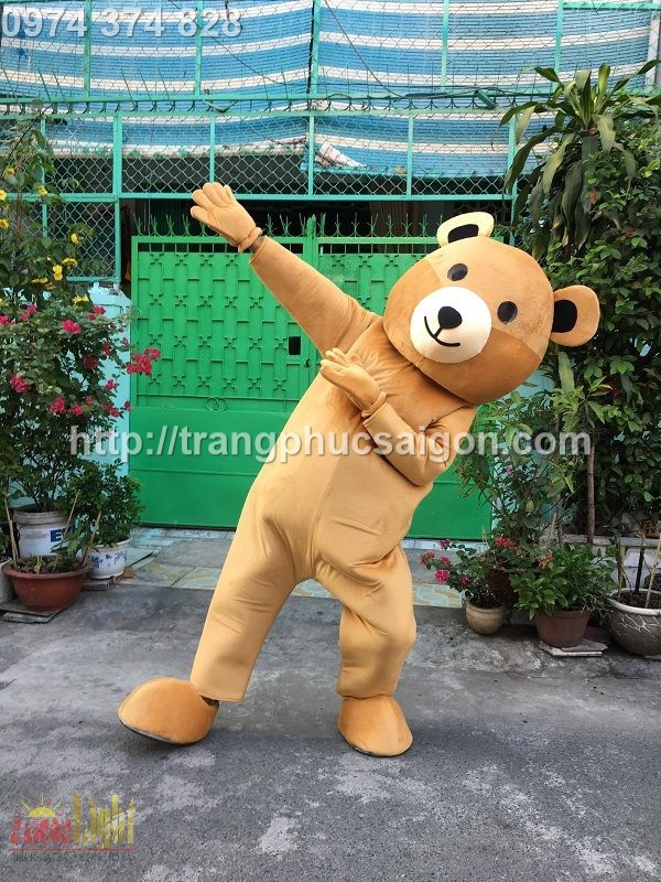 cho thuê mascot gấu teddy nâu giá rẻ