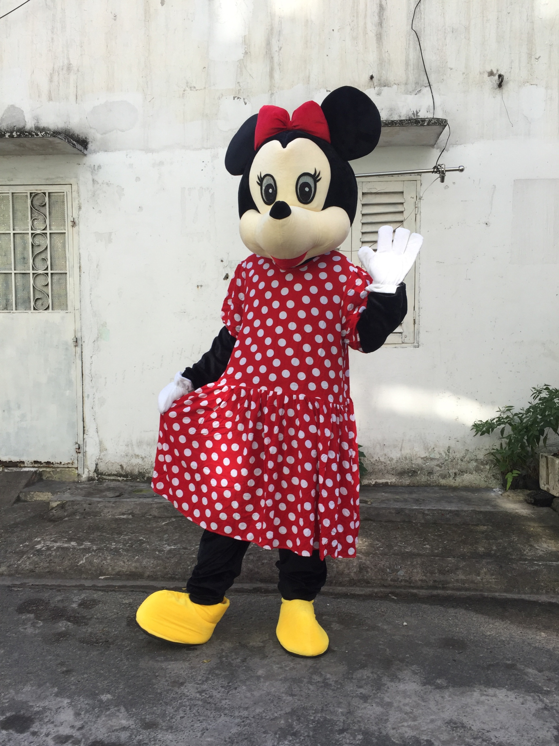 cho thuê mascot chuột mickey nữ giá rẻ
