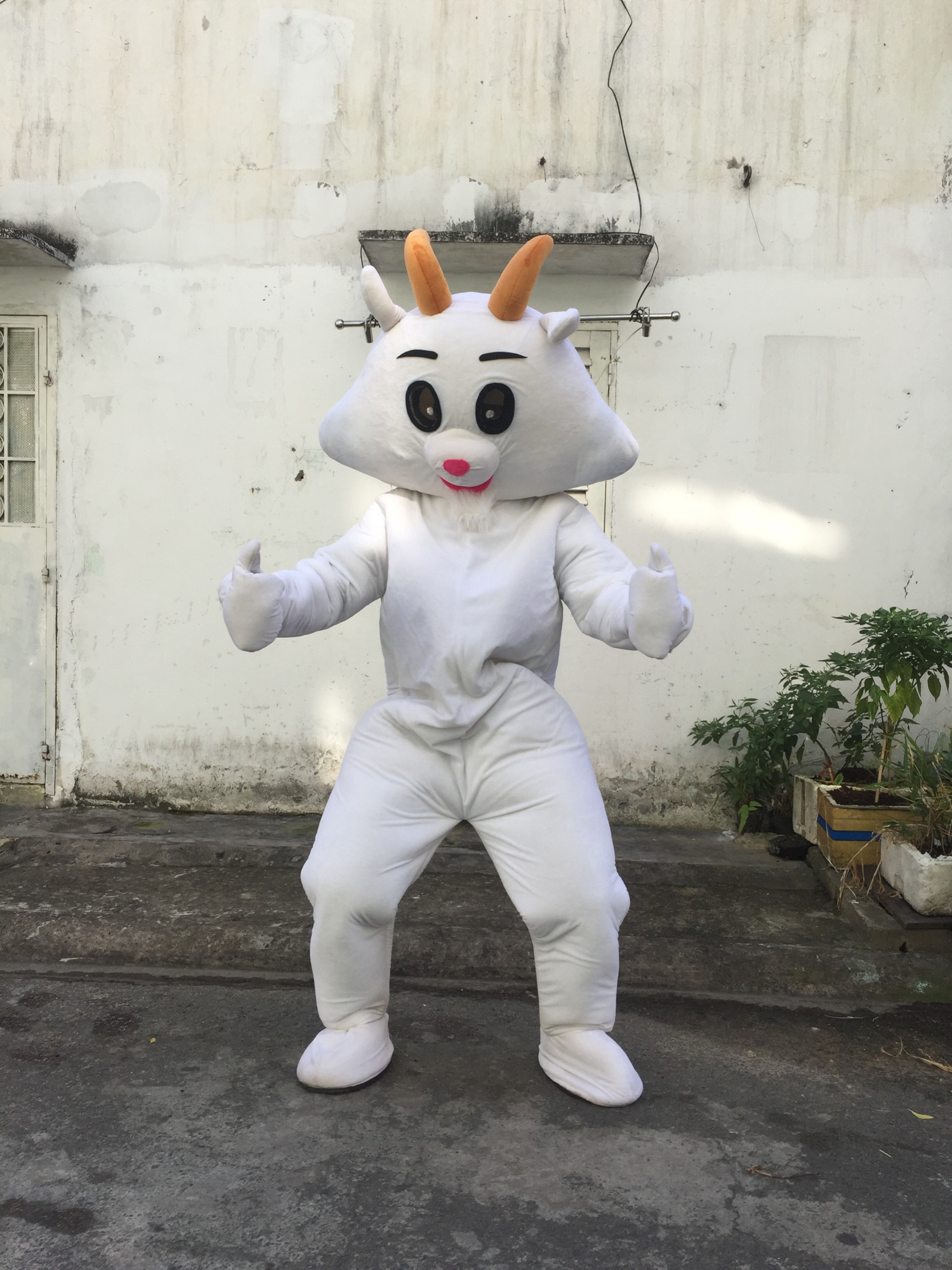 cho thuê mascot dê giá rẻ