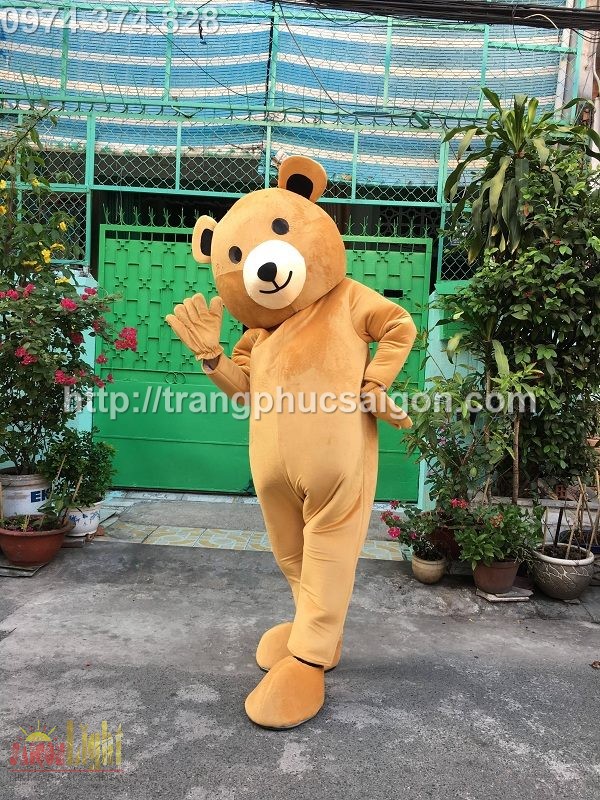 cho thuê mascot gấu teddy nâu giá rẻ