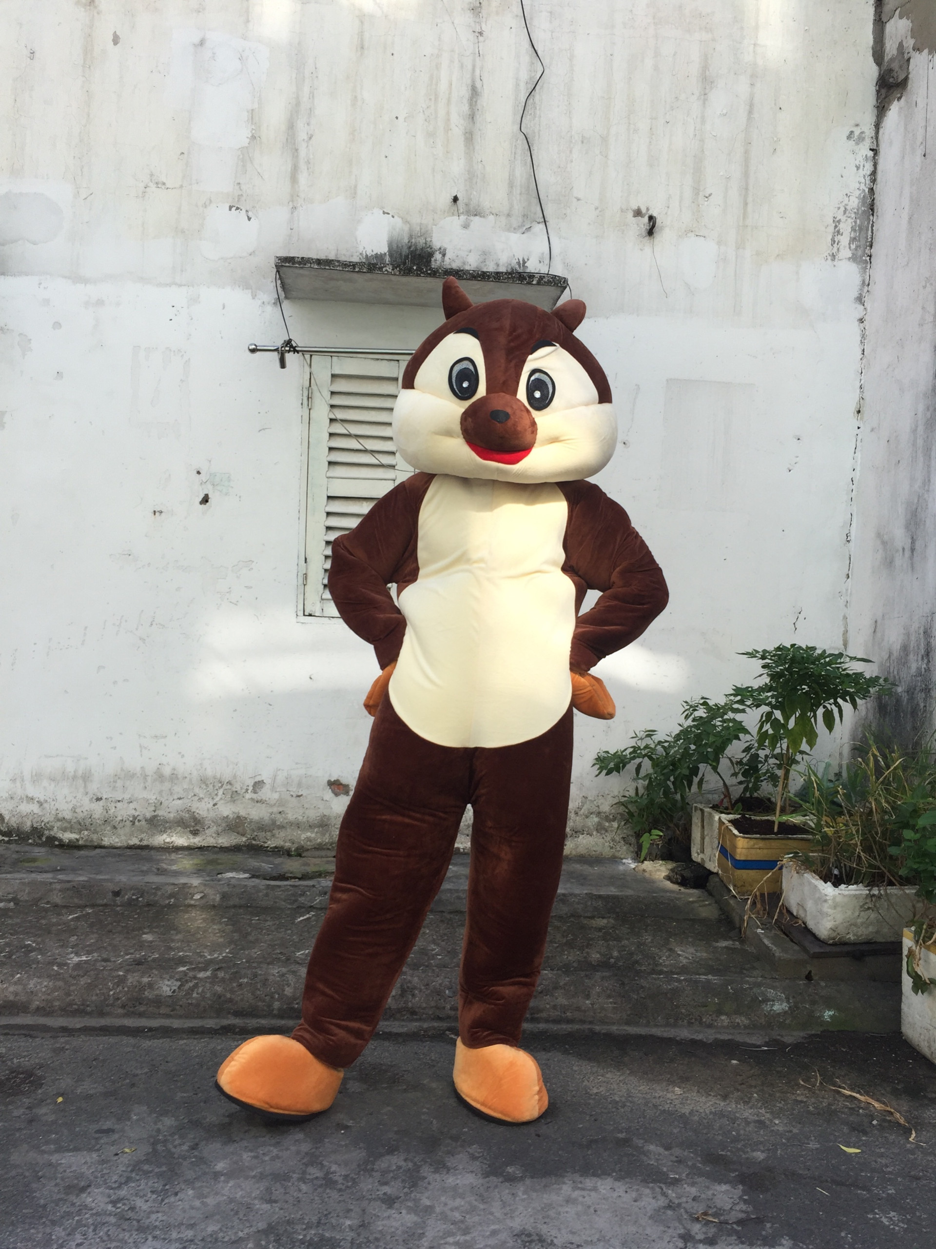 cho thuê mascot sóc giá rẻ