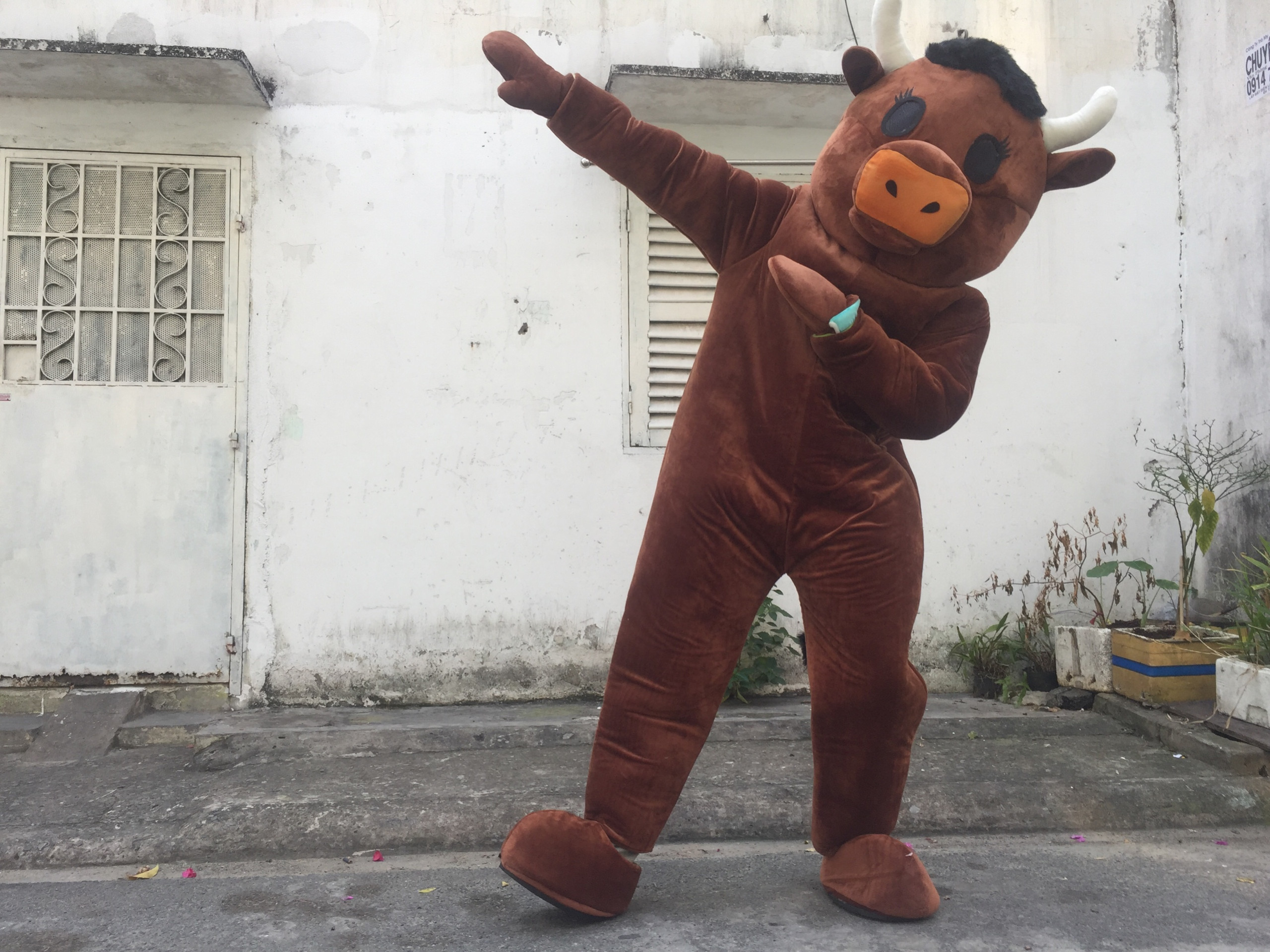 cho thuê mascot trâu giá rẻ